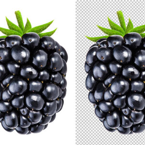 Background-Removal-Services-edit-thephoto-5-(3)