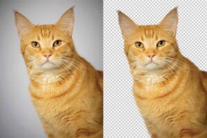Image Masking